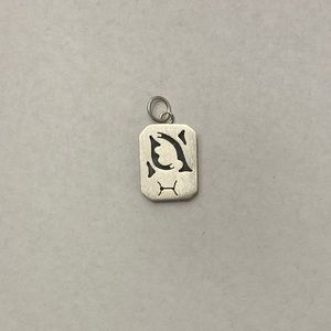 Pisces Zodiac 925 sterling silver charm